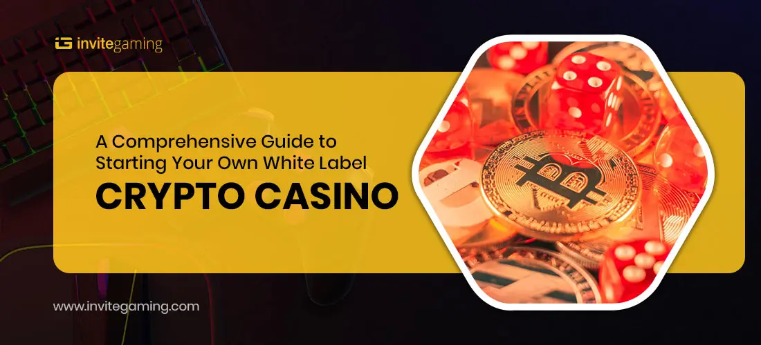 A-Comprehensive-Guide-to-Starting-Your-Own-White-Label-Crypto-Casino_Featured-Image